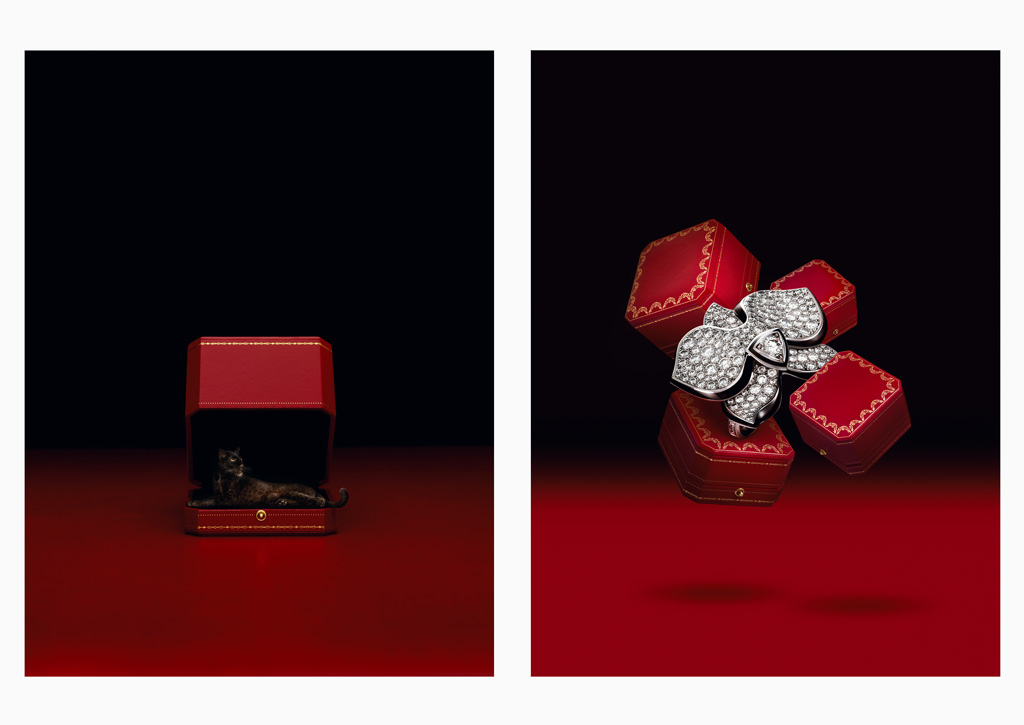 Cartier - Campaign